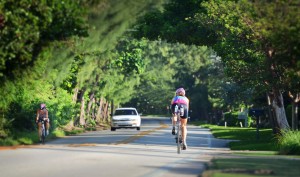 Gulf Stream, Fl. -- Gulf Stream's canopy of trees along A1A looking north. Photo by Peter W. Cross