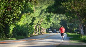 Gulf Stream, Fl. -- Gulf Stream's canopy of trees along A1A looking north. Photo by Peter W. Cross