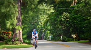 Gulf Stream, Fl. -- Gulf Stream's canopy of trees along A1A looking north. Photo by Peter W. Cross