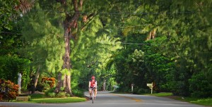 Gulf Stream, Fl. -- Gulf Stream's canopy of trees along A1A looking north. Photo by Peter W. Cross